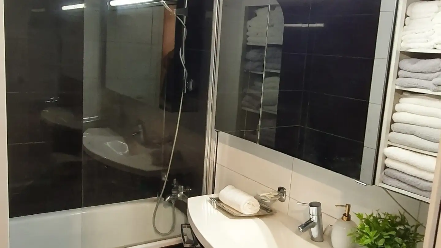 Chambre à louer - 8047 Zürich - Photo 4