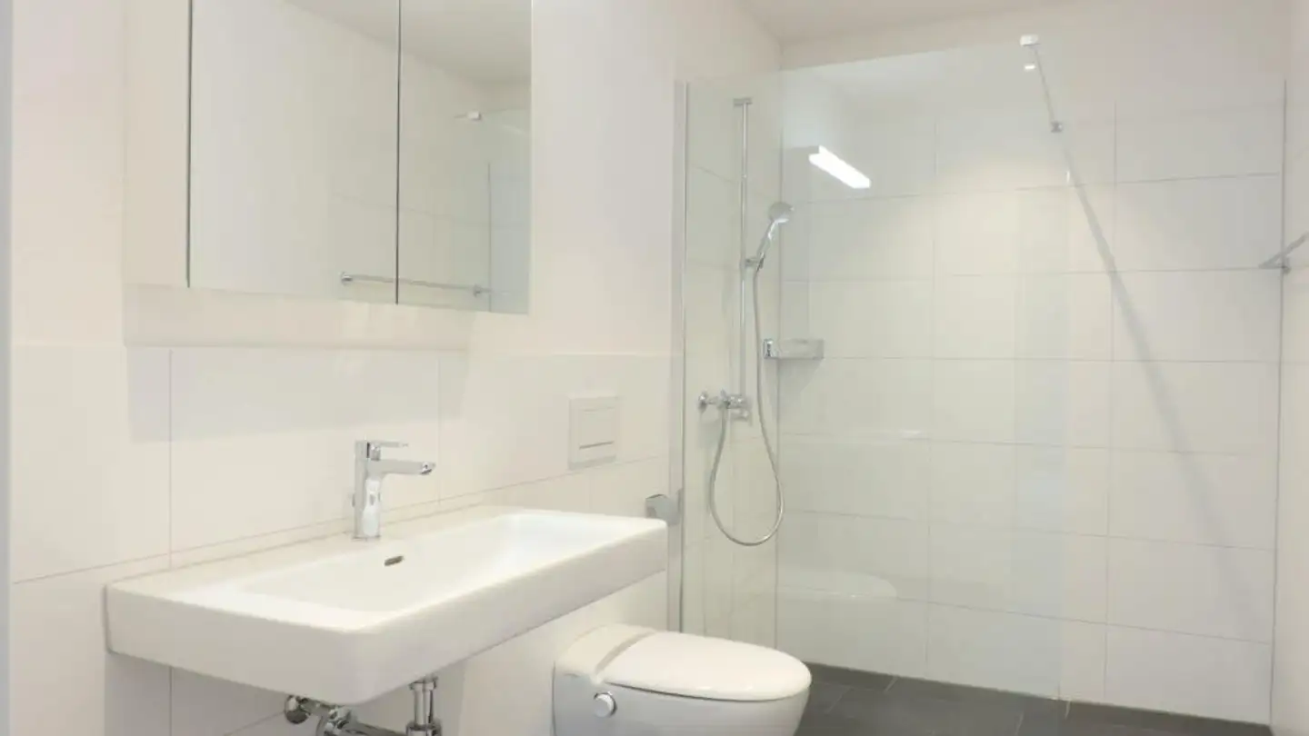 Appartement à louer - Wassergasse 53, 9000 St. Gallen - Photo 3