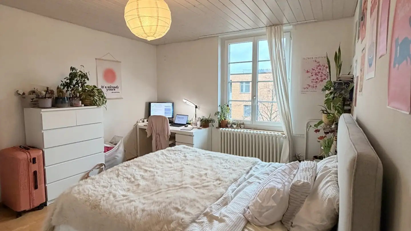 Stanza singola in affitto - 8008 Zürich - Foto 2