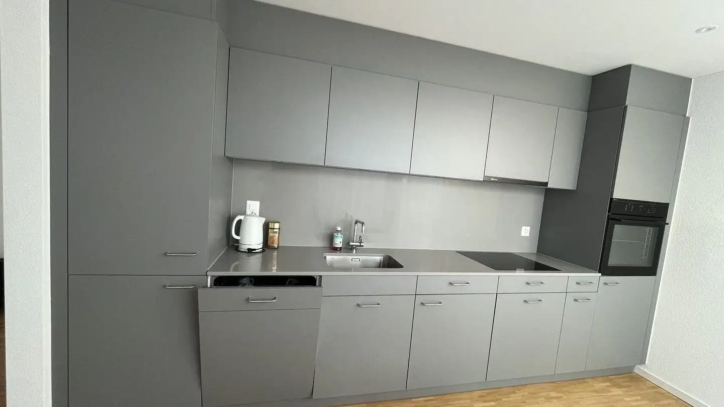 Appartamento in affitto - 8604 Volketswil - Foto 4