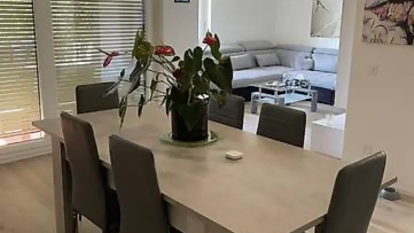 Appartement à louer - Via Cassinelle 6, 6982 Agno