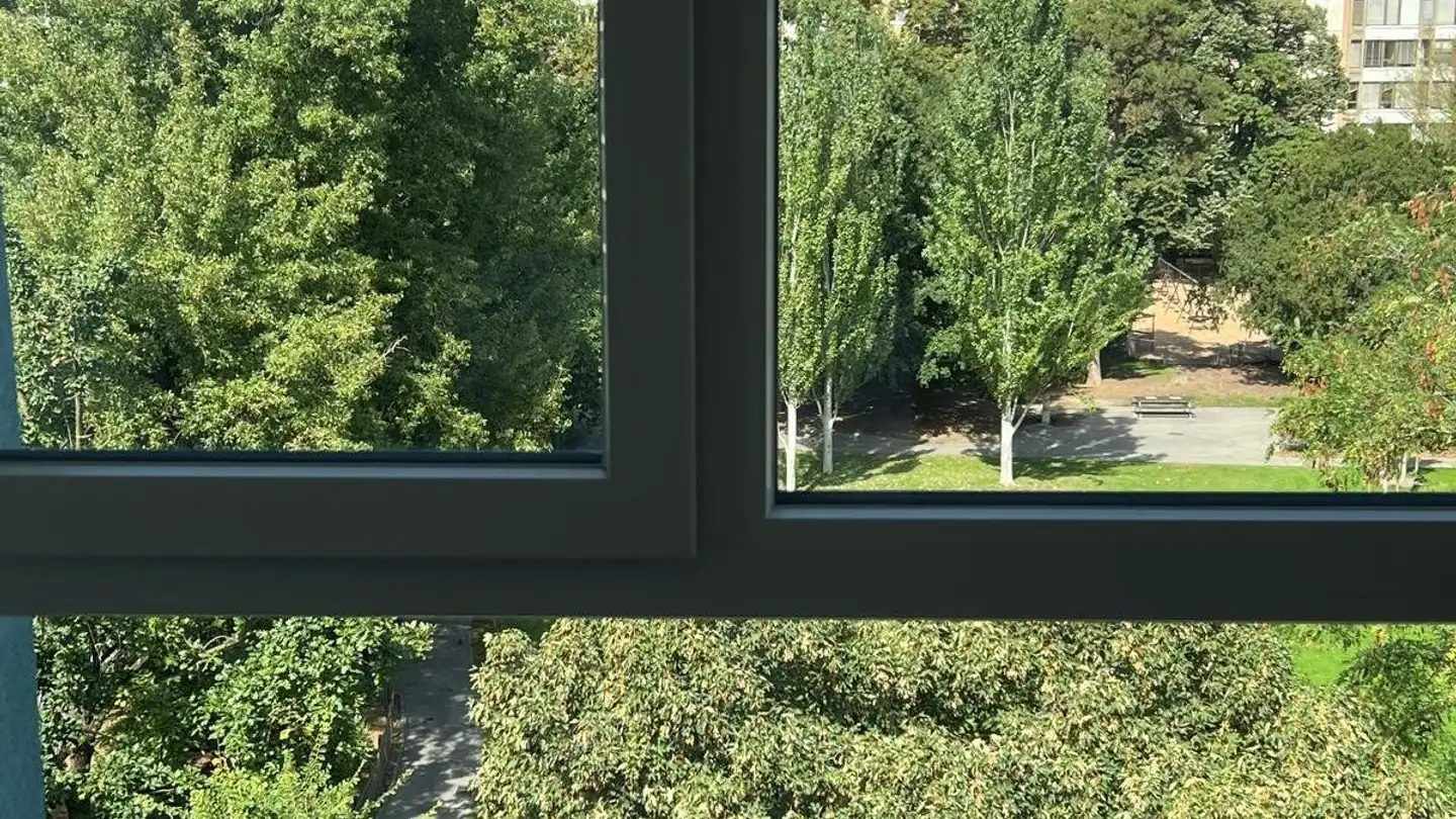 Attico in affitto - Rue Des Epinettes 17, 1227 Les Acacias - Foto 3