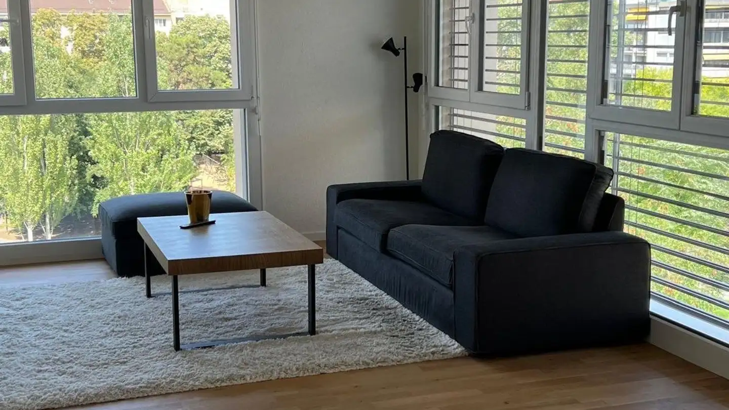 Attico in affitto - Rue Des Epinettes 17, 1227 Les Acacias - Foto 4