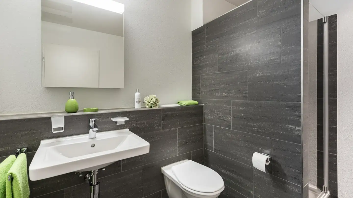 Appartement à louer - Schöntalstrasse 21, 9323 Steinach - Photo 4