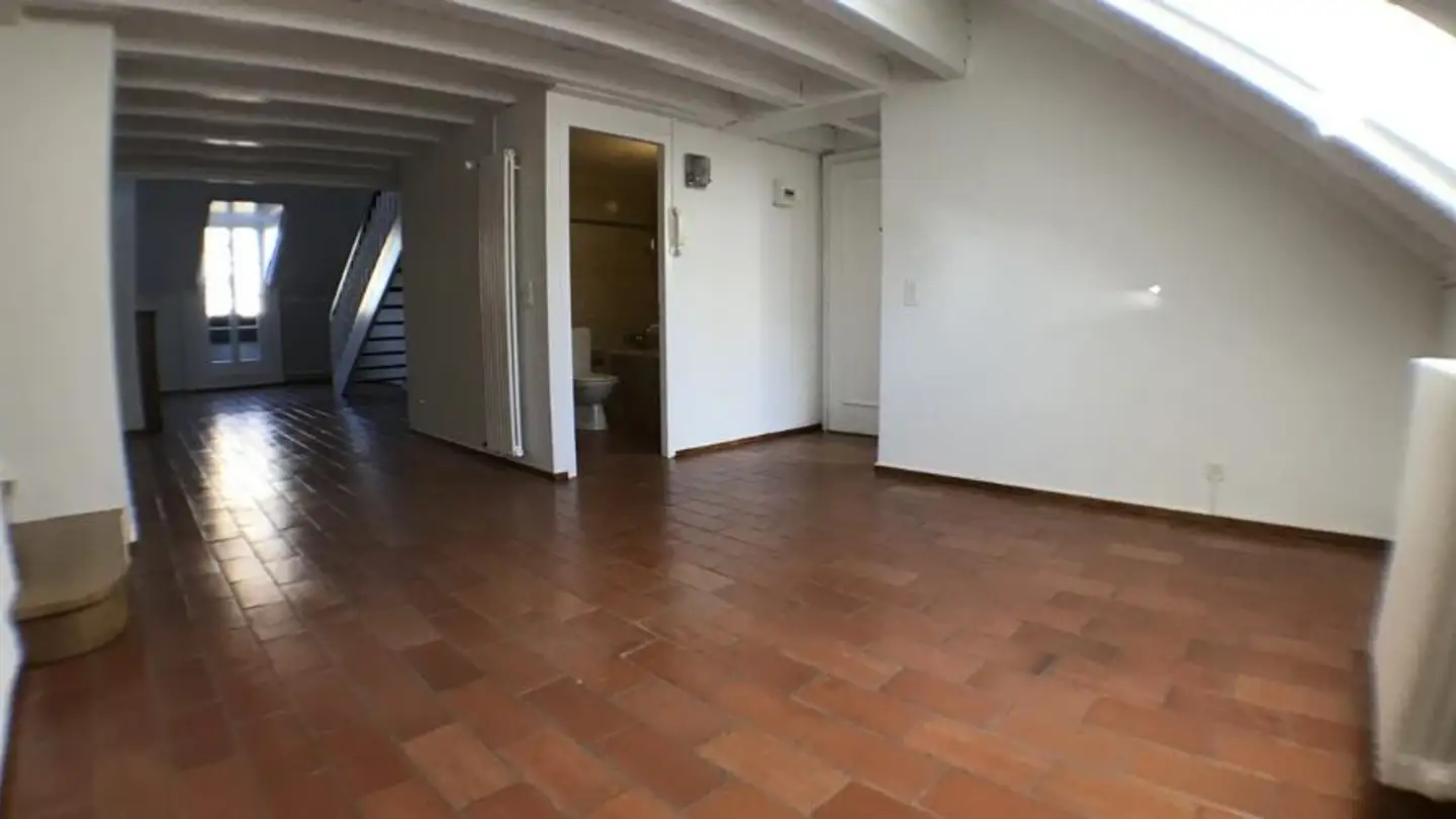 Attique à louer - Rue Jacques- Dalphin, 1227 Carouge GE - Photo 3