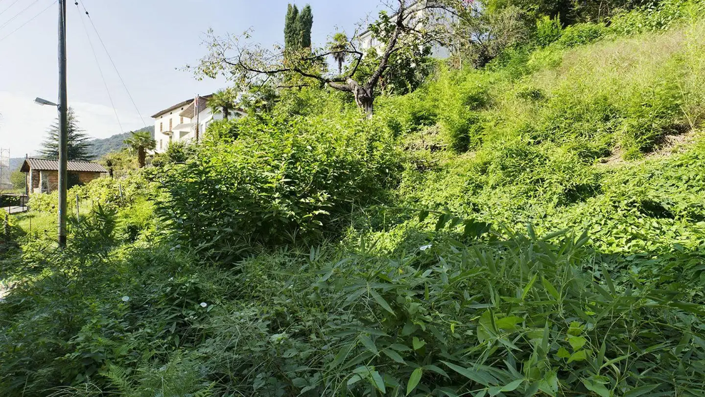 Constructible plot for sale - Via Bonzaglio, 6997 Sessa - Photo 4