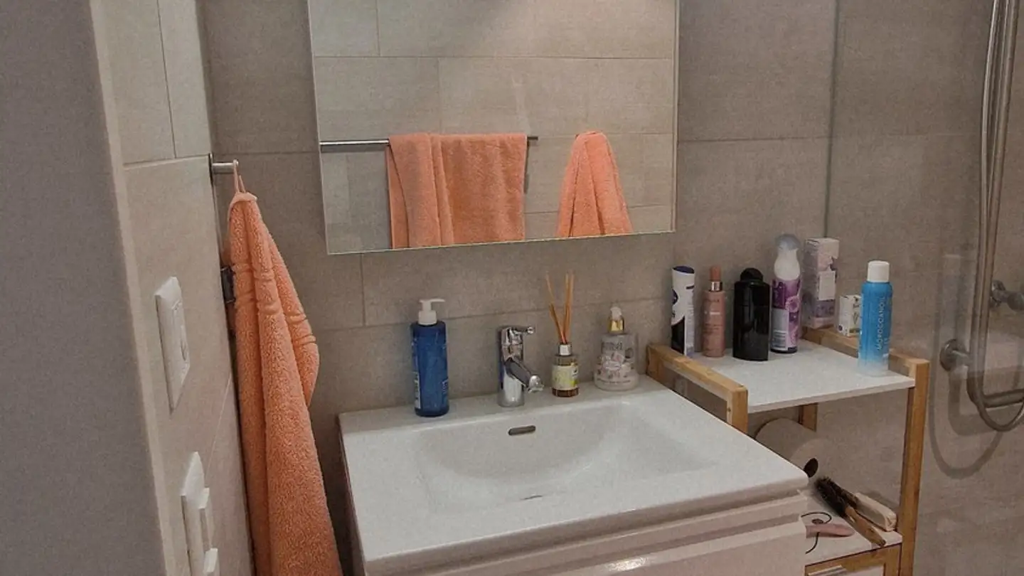 Appartamento in affitto - Bergstrasse 7, 8103 Unterengstringen - Foto 4
