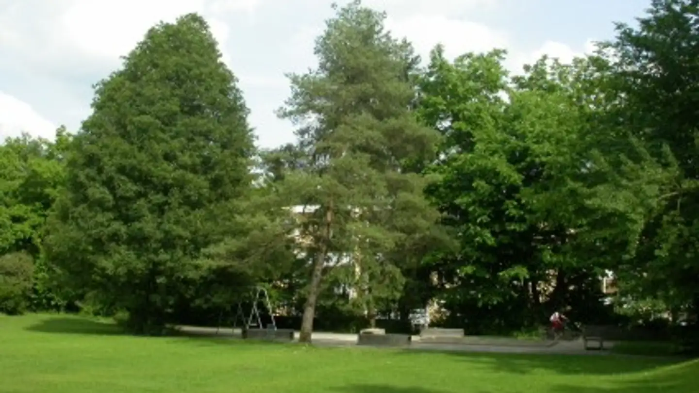 Appartamento in affitto - Müliwiesstrasse 35, 8487 Zell ZH - Foto 4