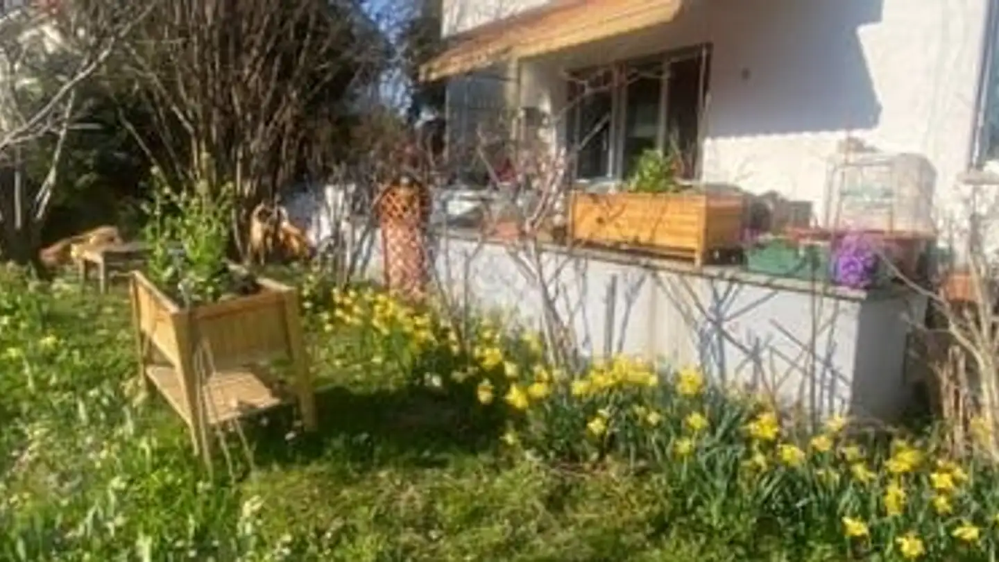 Appartement à louer - Bürglenstrasse 50, 3006 Bern