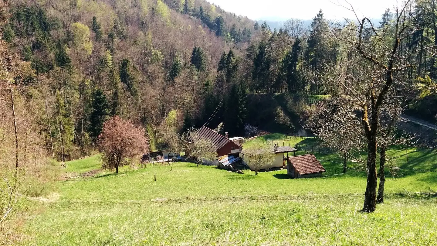 Constructible plot for sale - Im Königstal 3, 8487 Zell ZH - Photo 2