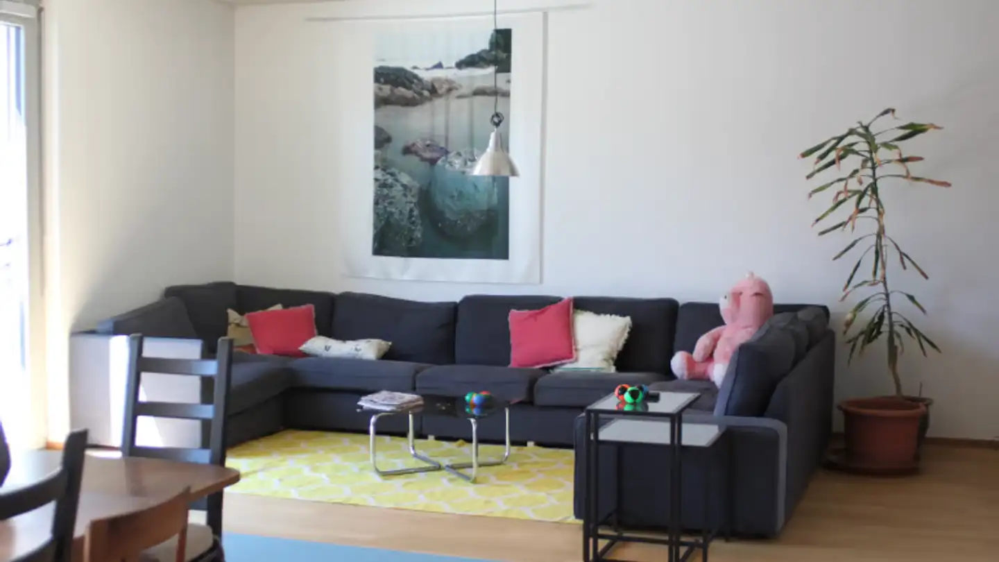 Appartamento in affitto - Am Wasser 10, 8600 Dübendorf - Foto 4