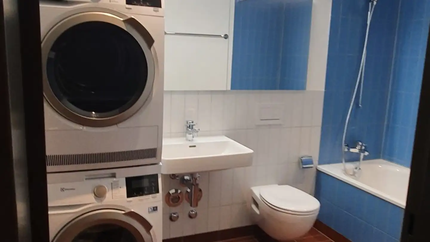 Appartement à louer - Allmendstrasse 158, 8041 Zürich - Photo 2