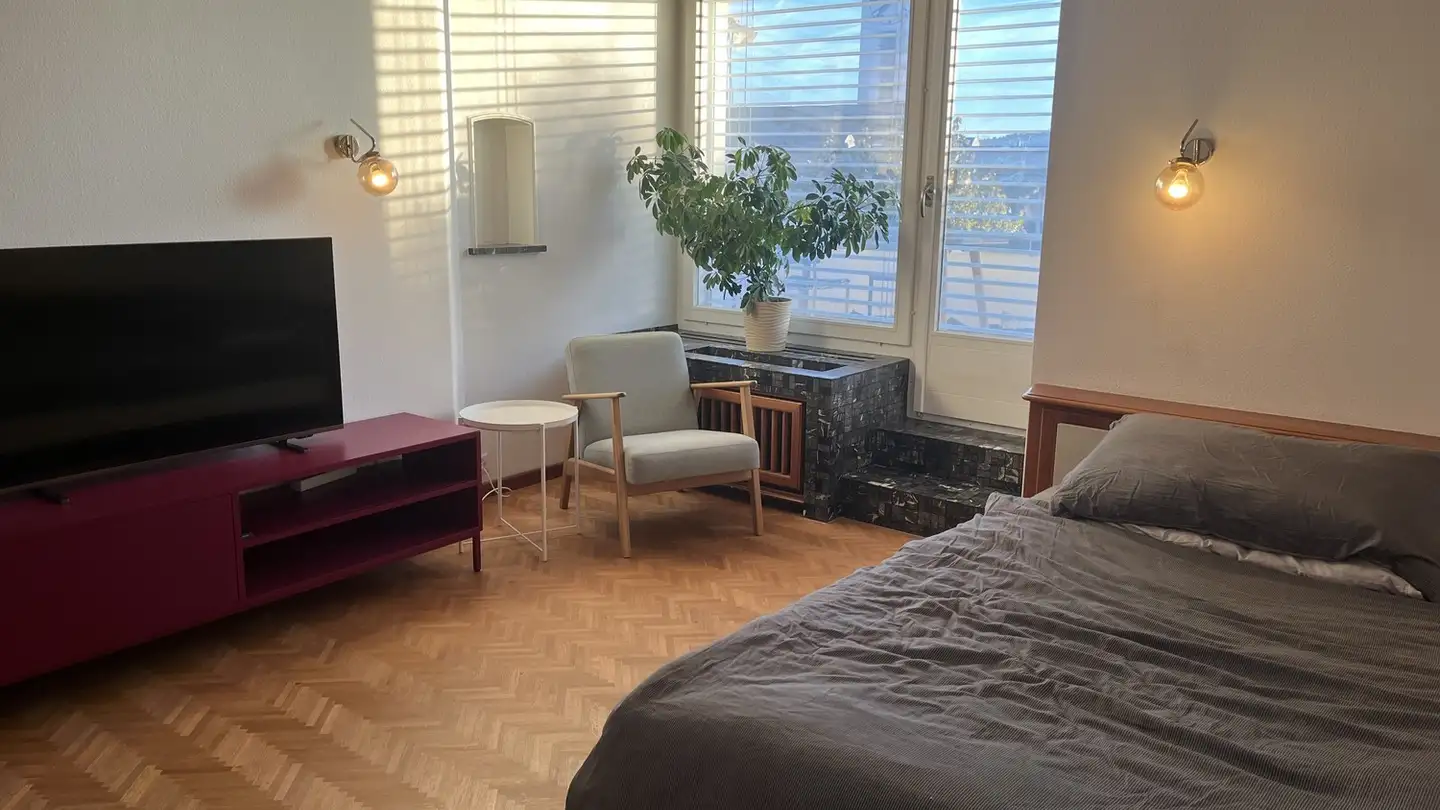 Chambre à louer - 8800 Thalwil