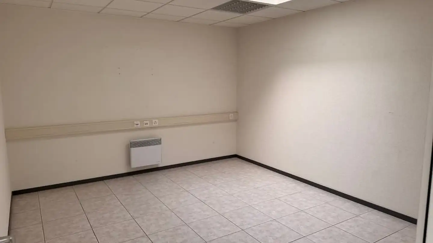 Commerciale in affitto - Rue Des Artisans 6, 1026 Echandens - Foto 3