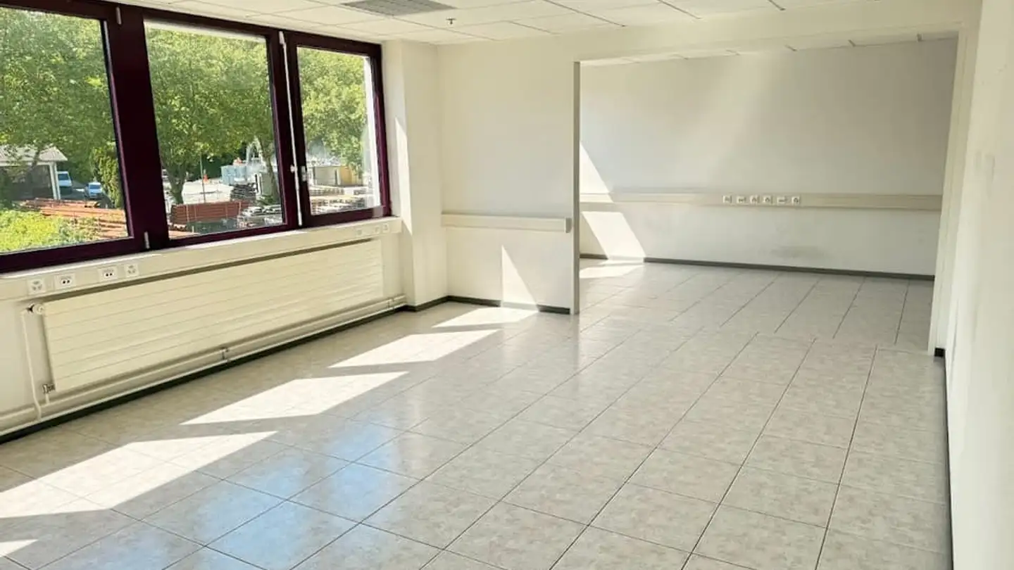 Commerciale in affitto - Rue Des Artisans 6, 1026 Echandens - Foto 4