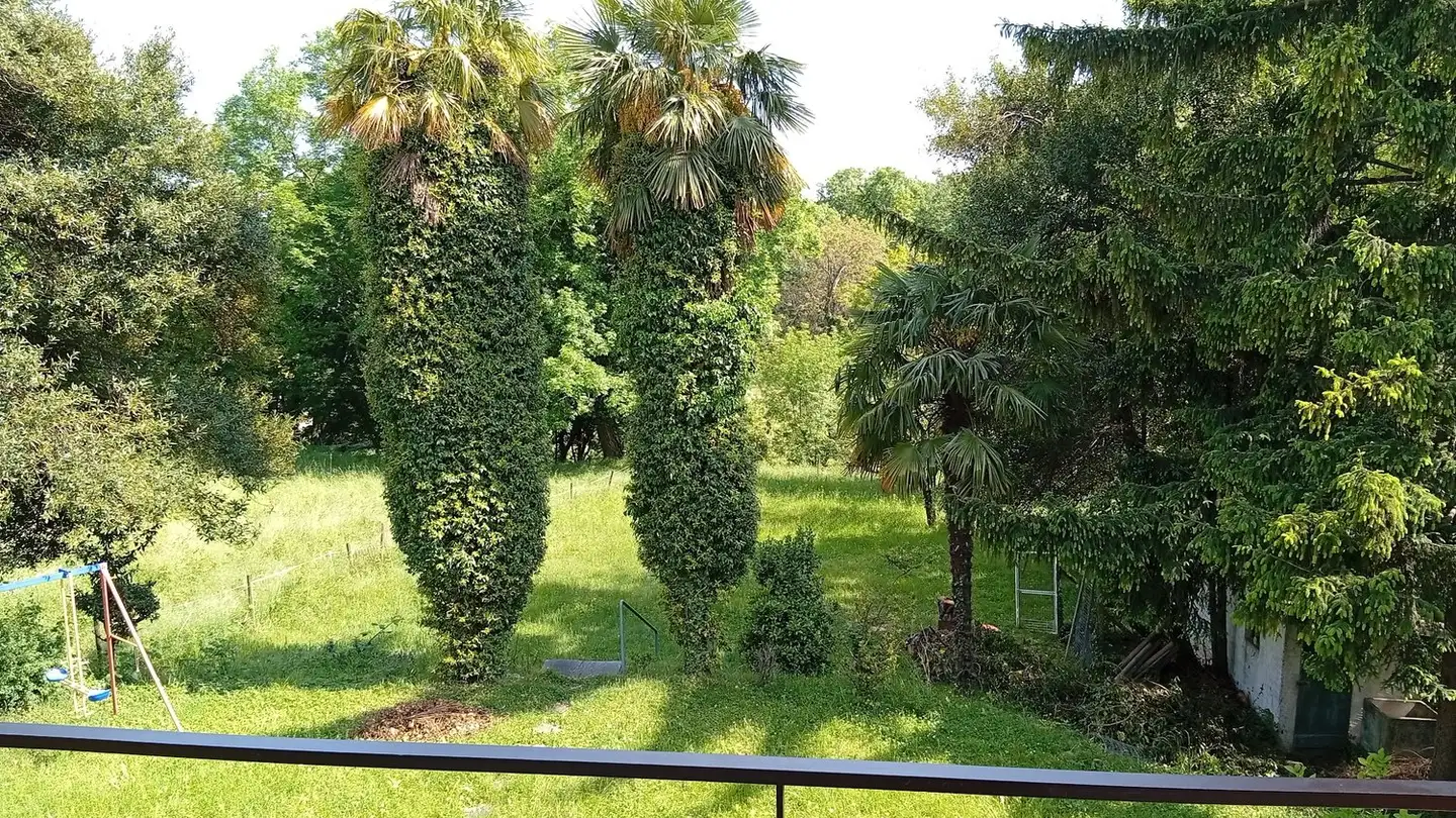 Wohnung mieten - Via Ai Grotti 12, 6865 Tremona