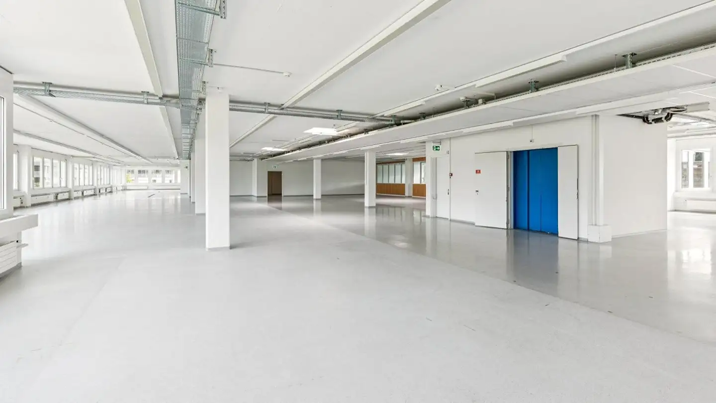 Commercial à louer - Birkenstrasse 43a, 6343 Rotkreuz - Photo 2