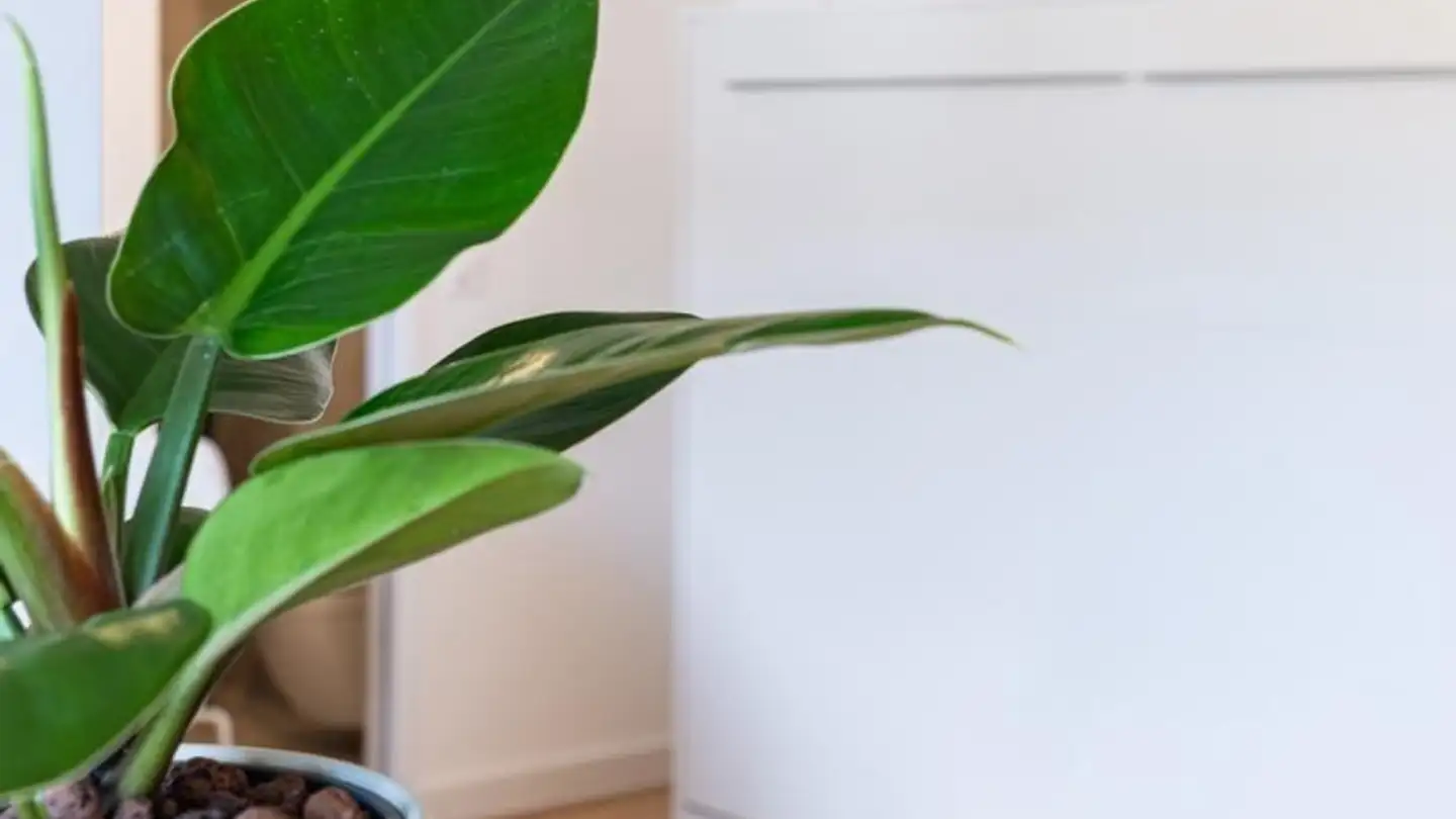 Wohnung mieten - Hinterbergstrasse 53, 6312 Steinhausen - Foto 2