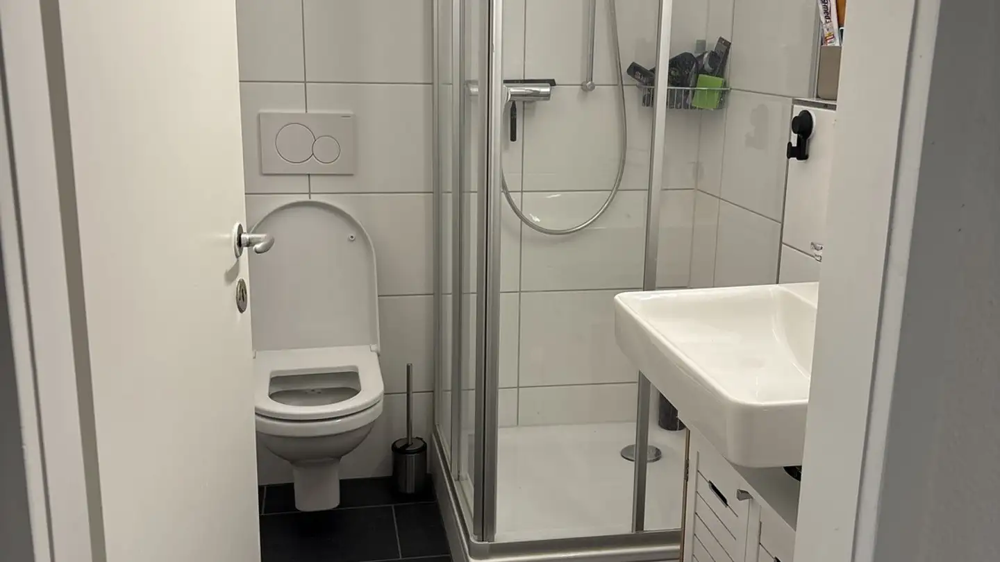 Appartamento in affitto - Andlauerstrasse, 4057 Basel - Foto 4