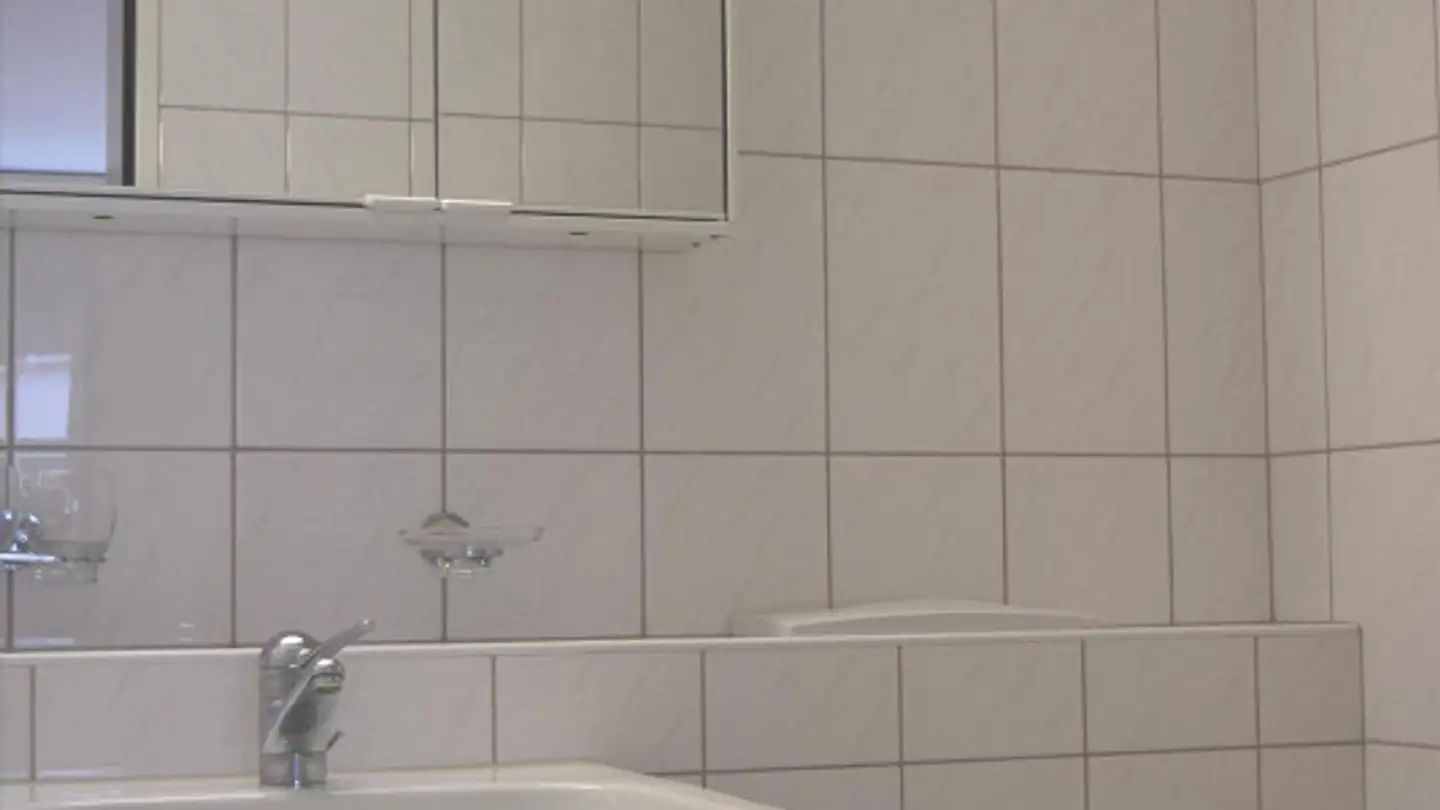 Apartment for rent - Im Sihlhof 23, 8134 Adliswil - Photo 4