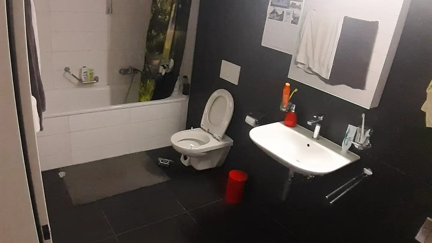 Single room for rent - Rue De Lausanne 49f, 1020 Renens VD - Photo 2