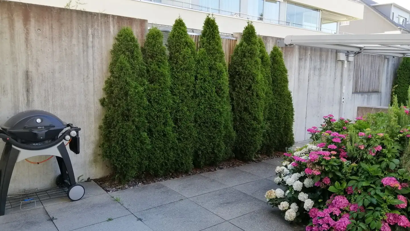 Wohnung mieten - Dreierstrasse 1b, 5707 Seengen - Foto 3