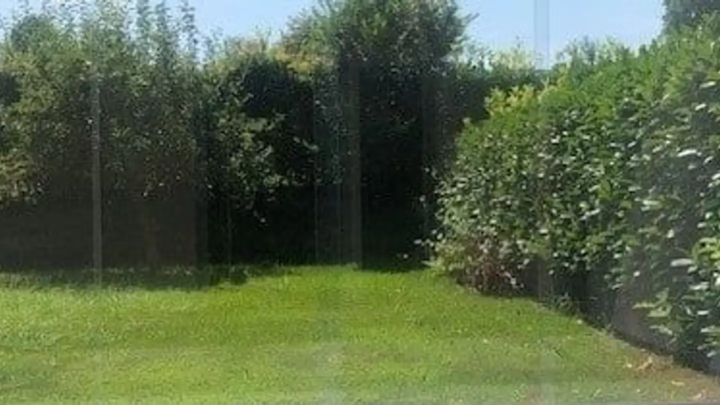 Maison jumelle à louer - Dürntnerstrasse 46, 8635 Dürnten - Photo 2