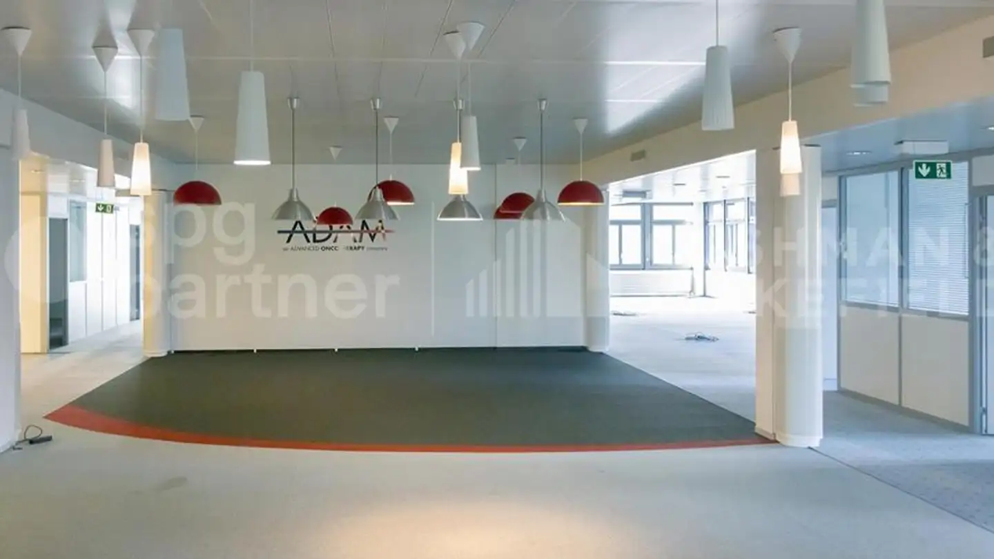 Edificio ad uso misto in affitto - Chemin D'entre-Bois 6, 1018 Lausanne - Photo 2