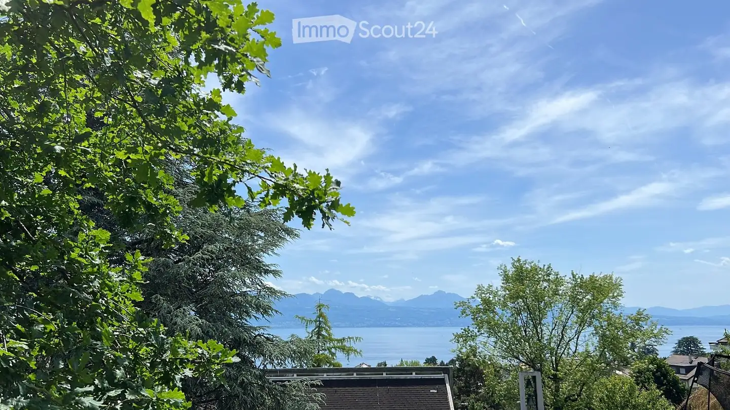 Appartement à louer - Chemin du Val-d'Or 10, 1009 Pully