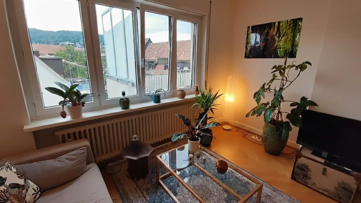 Apartment for rent - 8057 Zürich