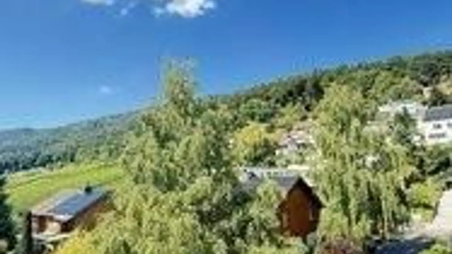 Wohnung mieten - Hofwiesenstrasse 49, 8113 Boppelsen - Foto 2