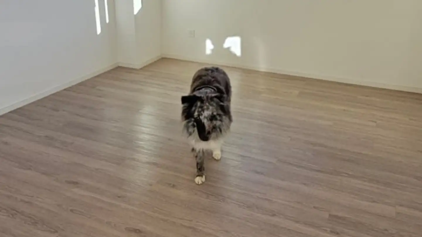 Wohnung mieten - 8933 Maschwanden - Foto 2