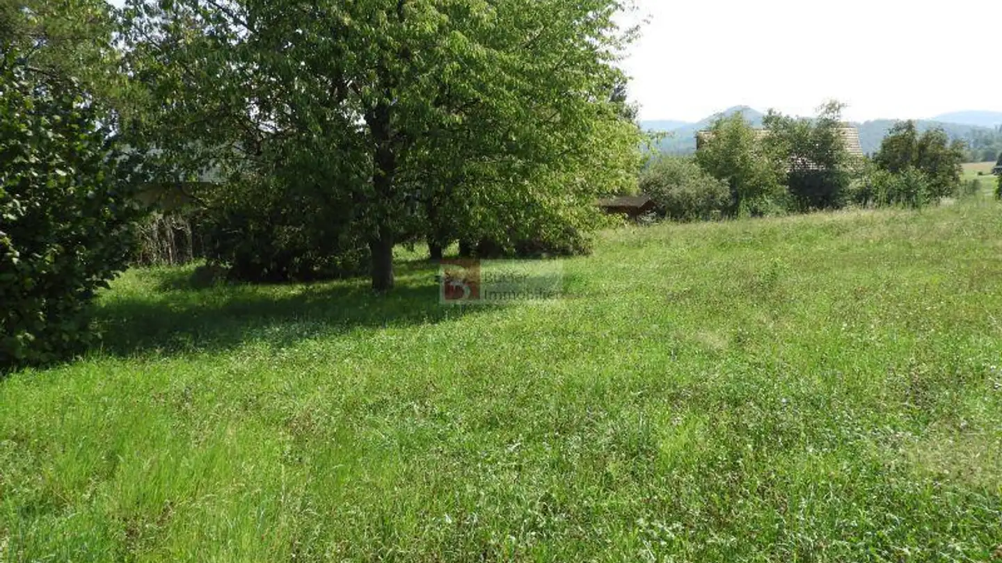 Constructible plot for sale - 4242 Laufen