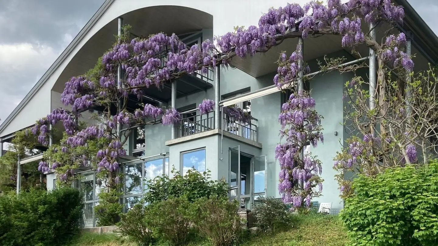 Doppelhaushälfte mieten - 3652 Hilterfingen