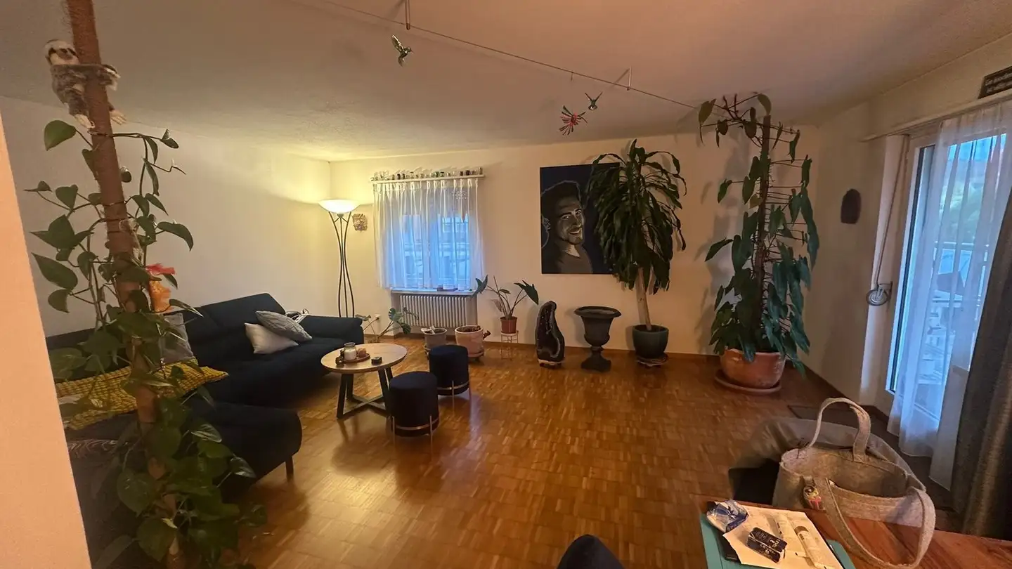 Apartment for rent - 8424 Embrach