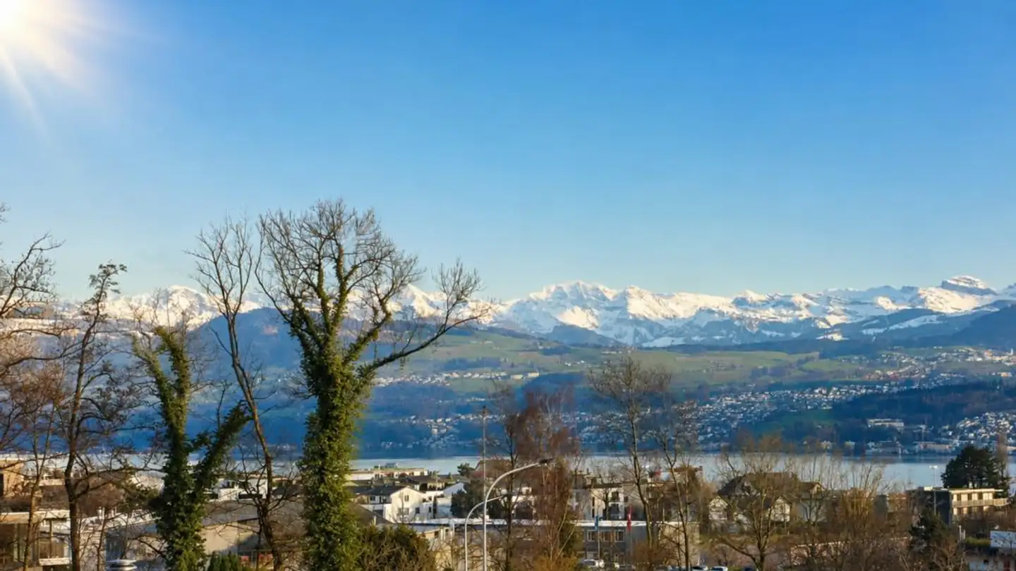 Apartment for sale - Burgstrasse 224, 8706 Meilen
