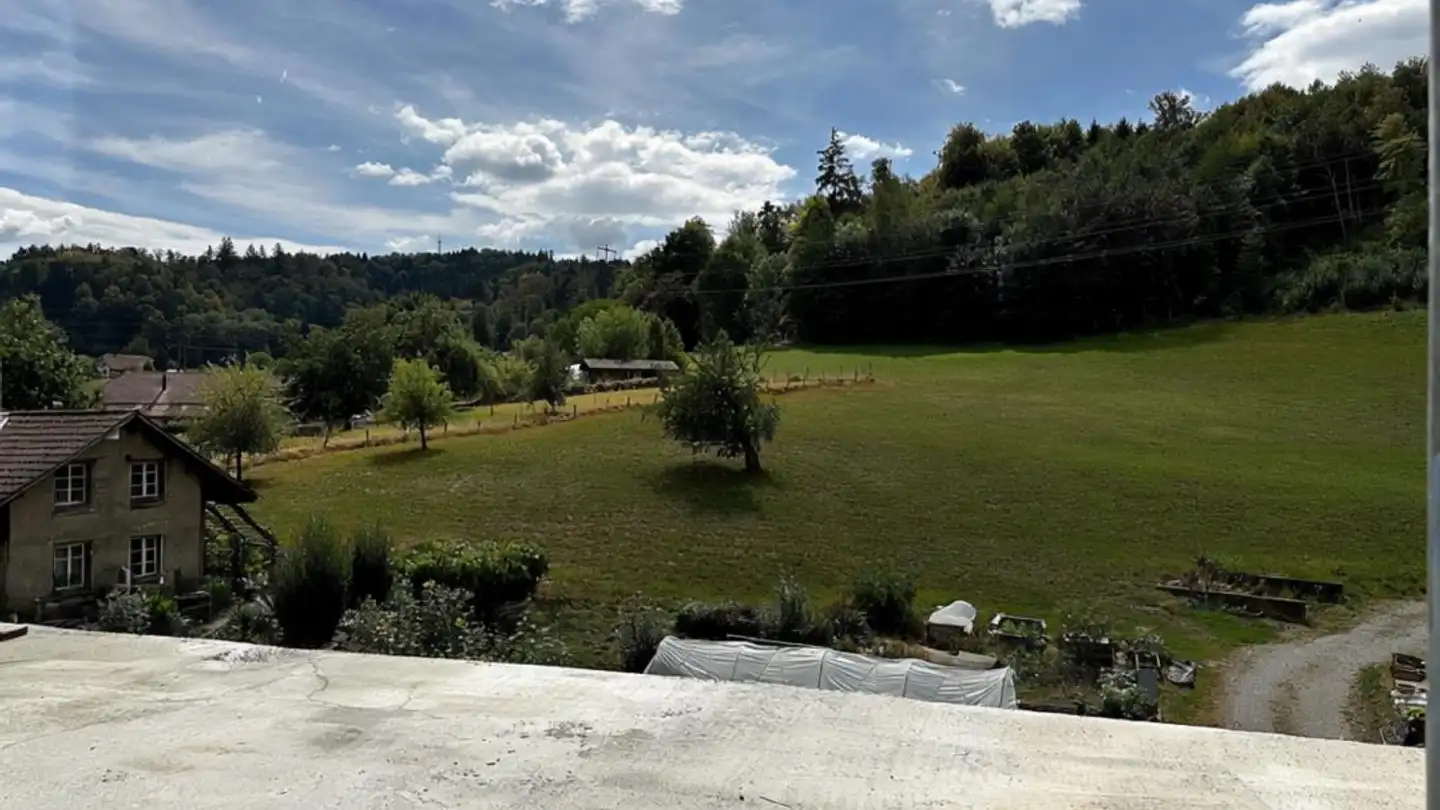Attique à vendre - Striegelstrasse, 5745 Safenwil