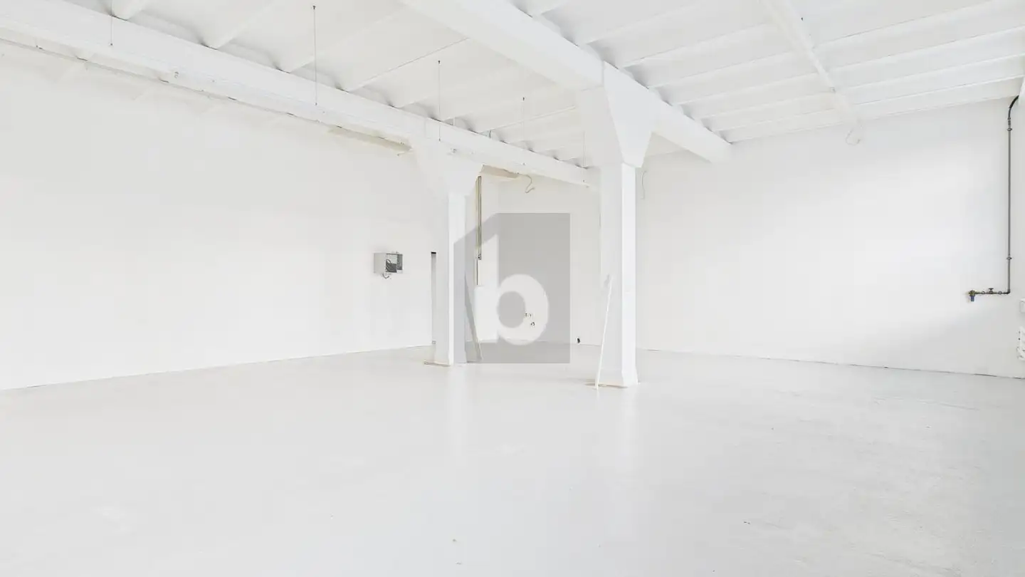Industrial property for rent - 8700 Küsnacht ZH - Photo 4