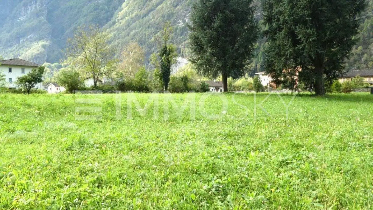 Constructible plot for sale - 6675 Cevio - Photo 3