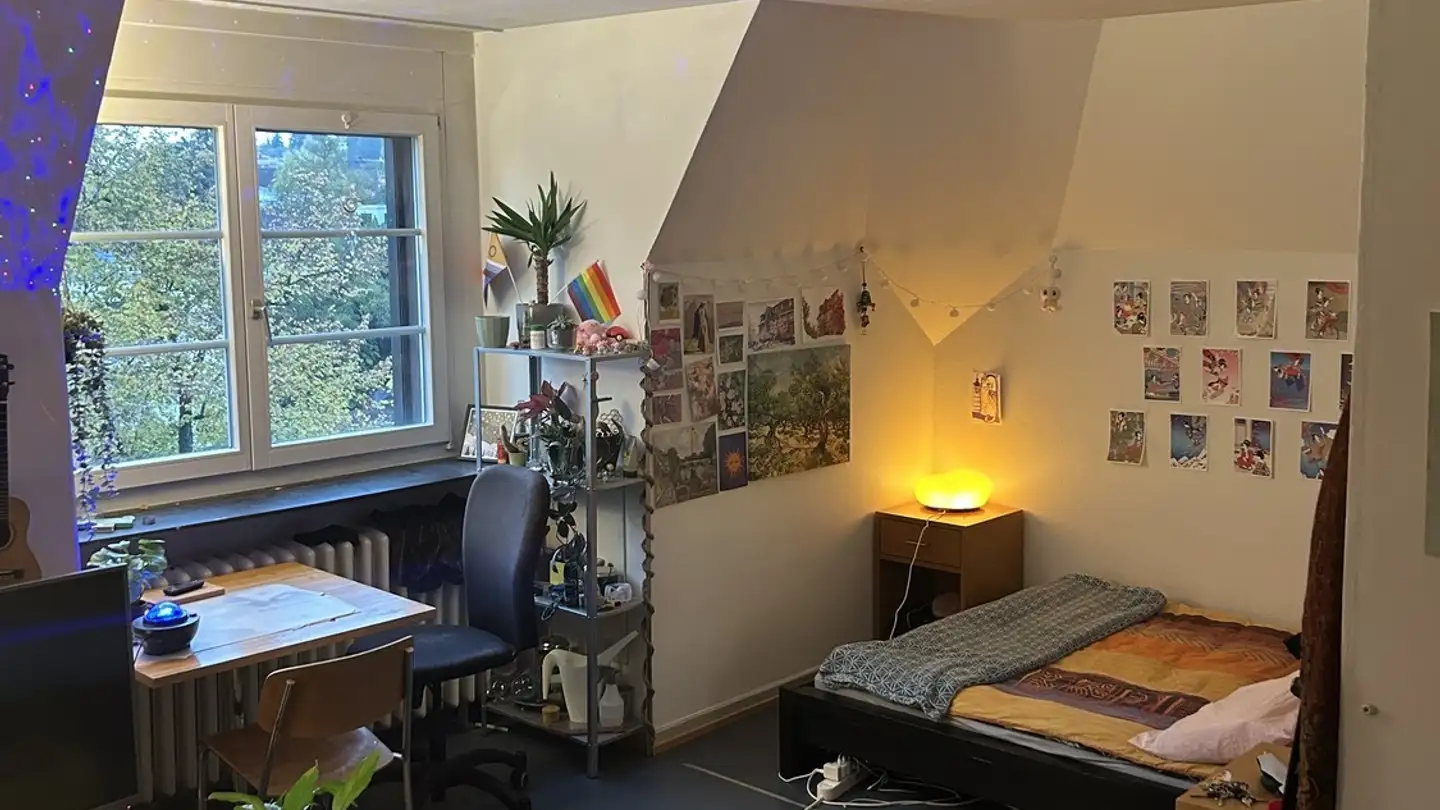 Single room for rent - Kantstrasse 20, 8044 Zürich