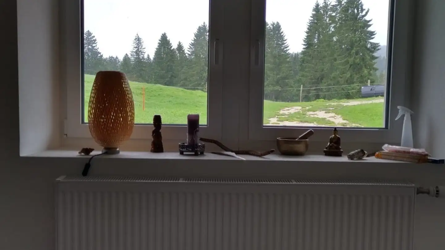 Apartment for rent - La Chaux-d'Abel 78, 2333 La Ferrière - Photo 4