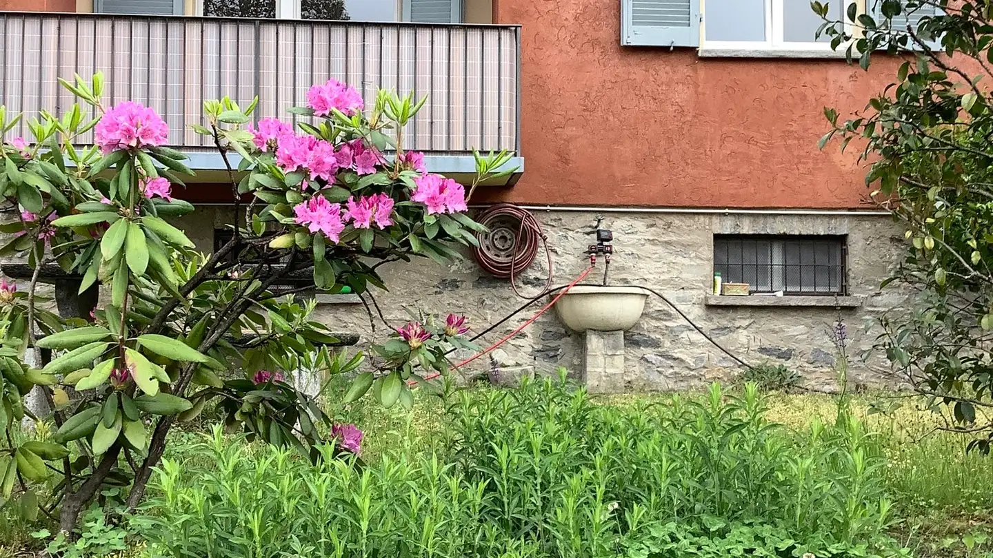 Wohnung mieten - Via Dei Paoli 6, 6648 Minusio