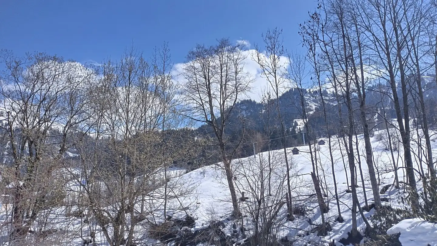 Single house for sale - Bergrat 3, 6196 Marbach LU - Photo 2