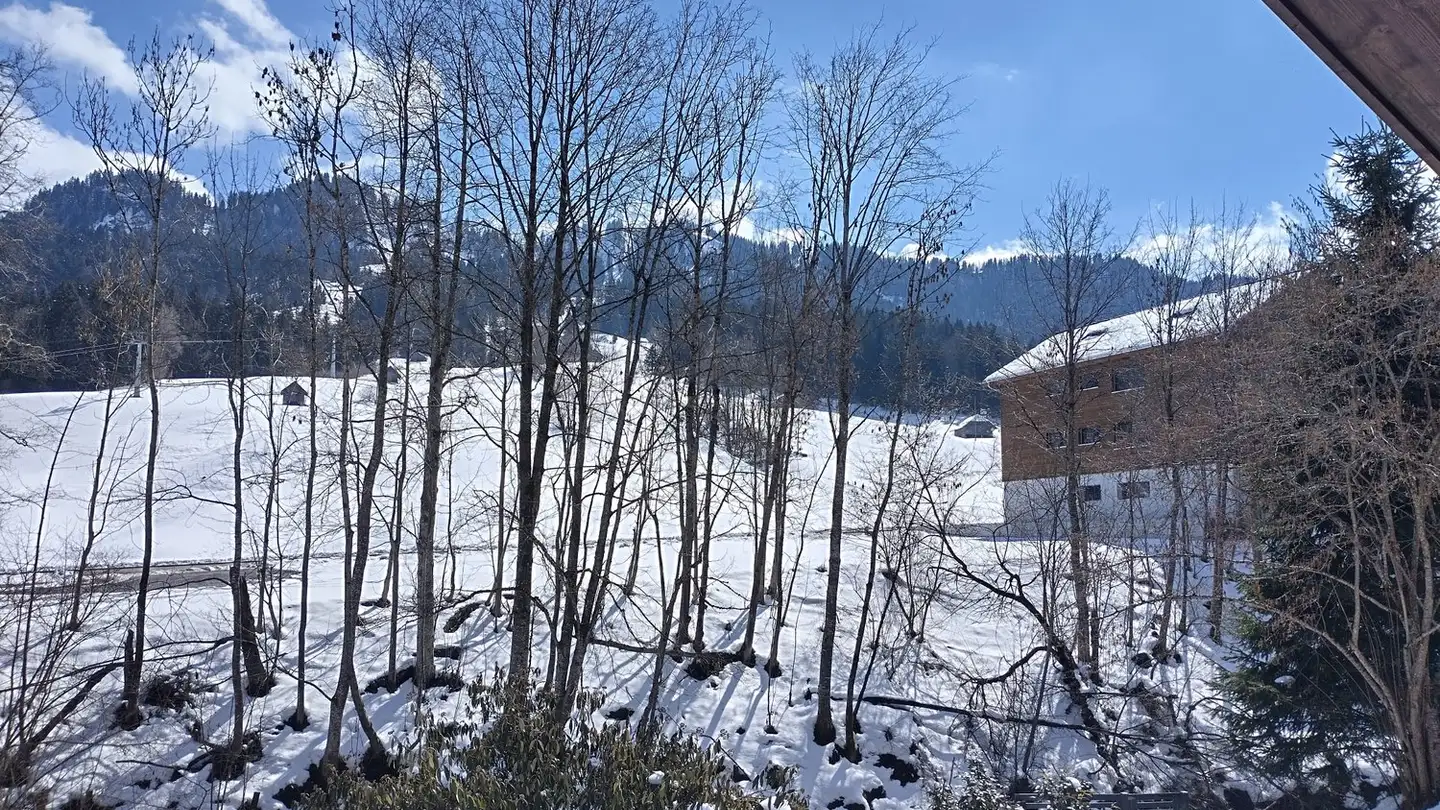 Single house for sale - Bergrat 3, 6196 Marbach LU - Photo 3