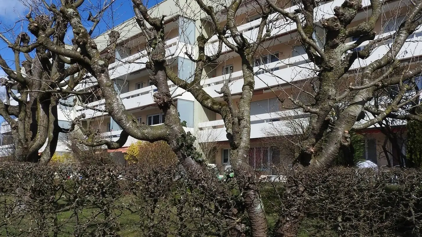 Wohnung kaufen - Sonnenfeldstrasse 8, 4563 Gerlafingen