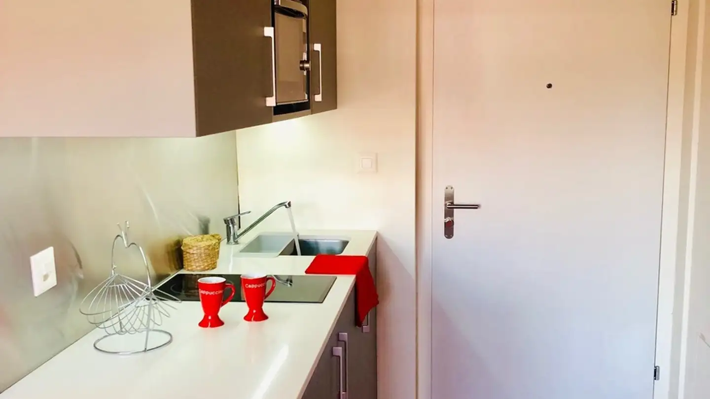 Studio in affitto - Avenue Du Temple 1, 1020 Renens VD