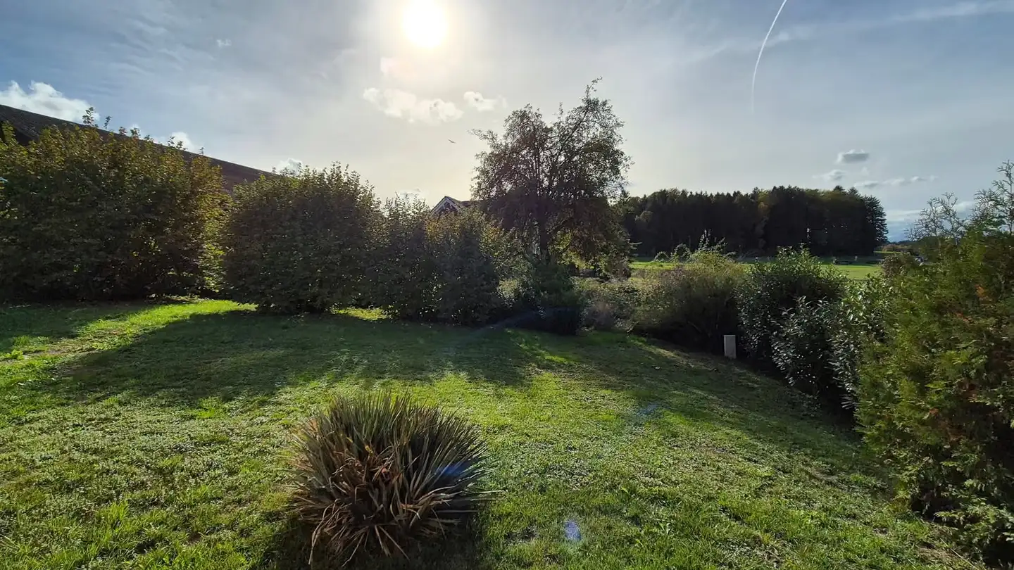 Single house for sale - Dorfstrasse 56, 3374 Wangenried - Photo 3