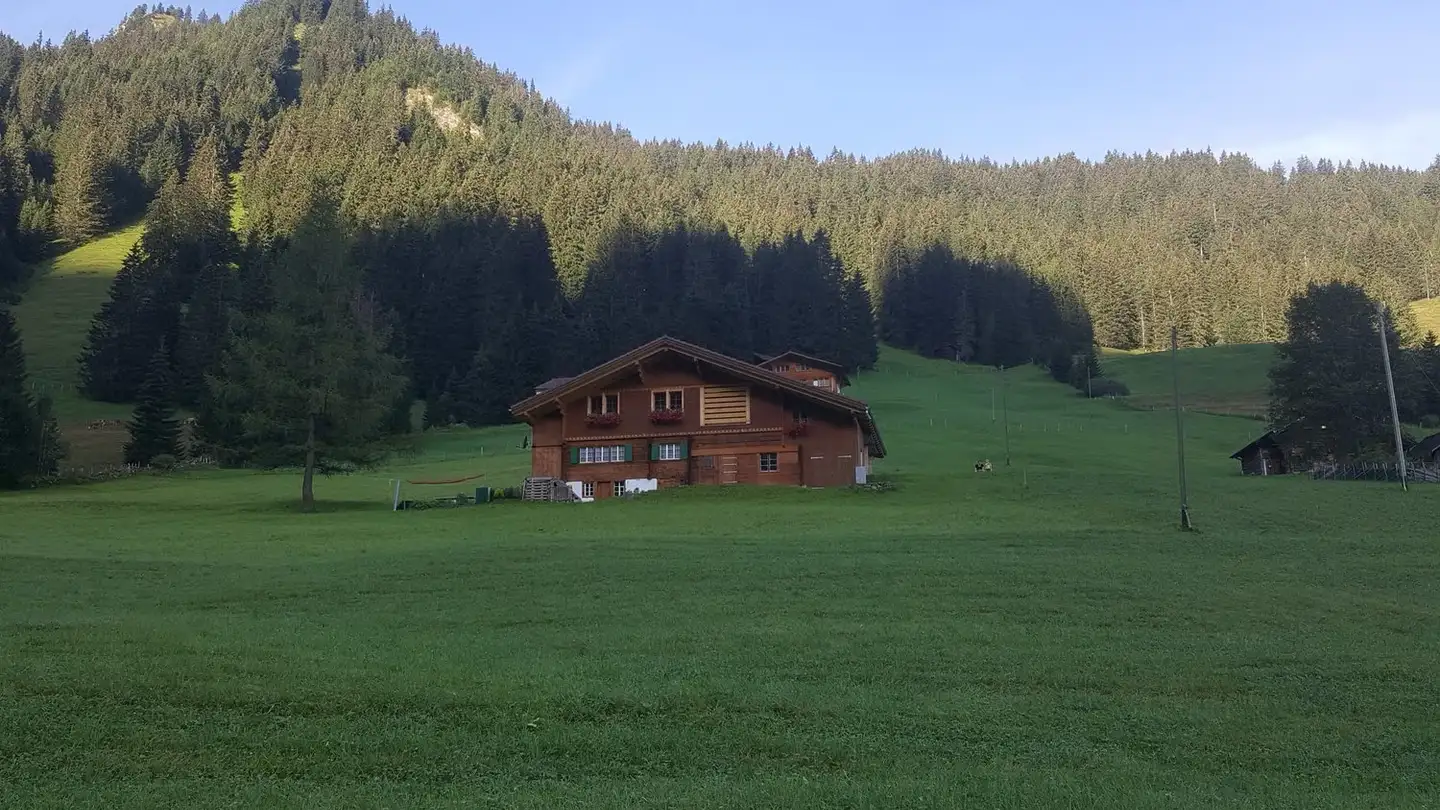 Appartamento in affitto - Obere Bodenstrasse 24, 3715 Adelboden