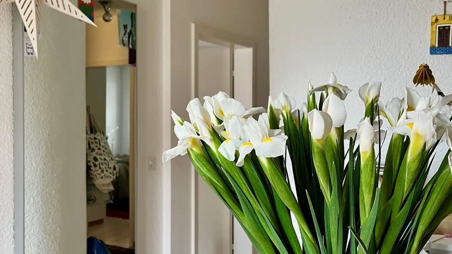 Wohnung mieten - 8004 Zürich - Foto 2