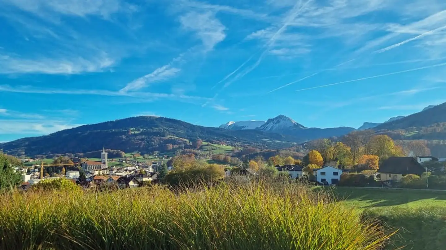 Casa singola in vendita - 1618 Châtel-St-Denis - Foto 3